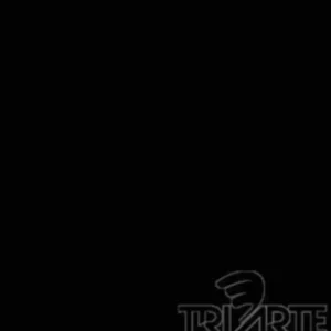 TVPH 3780- ESMALTE EM PASTA HIDROSSOLÚVEL P/VIDRO PRETO PLENO INTENSO