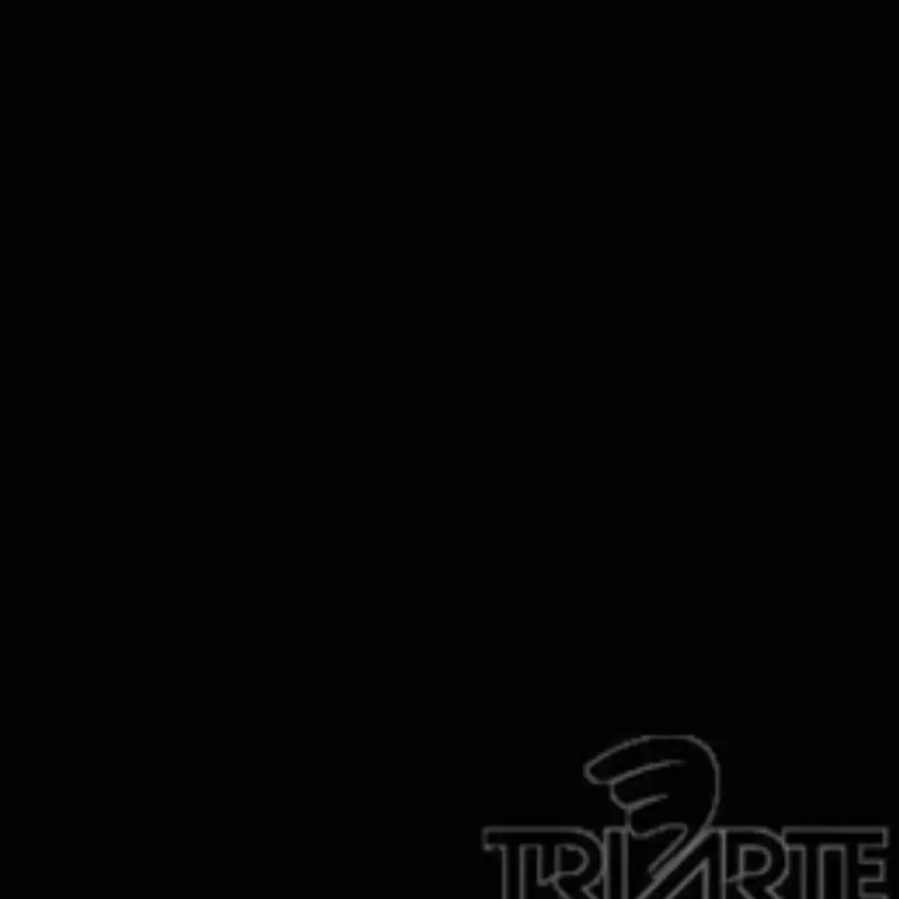 TVPH 3780- ESMALTE EM PASTA HIDROSSOLÚVEL P/VIDRO PRETO PLENO INTENSO