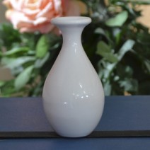 GEL G101/ GLC 101- Esm.Cerâmico Branco Alto Espalhamento