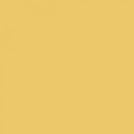 TRPO 10155-SOBRE ESMALTE P/PORCELANA OCRE AMARELADO