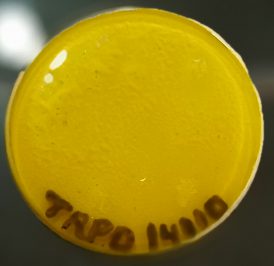 TRPO 14110-SOBRE ESMALTE P/PORCELANA AMARELO CANÁRIO - Imagem 2