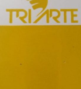 TRPO 14900-SOBRE ESMALTE P/PORCELANA AMARELO P/MISTURA
