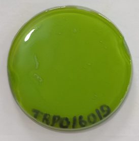 TRPO 16019- SOBRE ESMALTE P/PORCELANA VERDE LIMÃO - Imagem 2