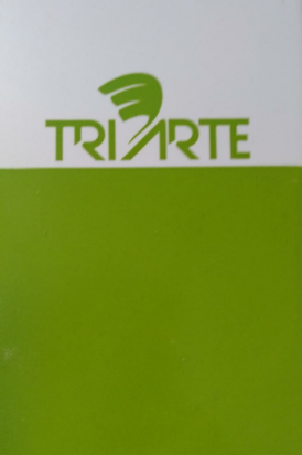 TRPO 16019- SOBRE ESMALTE P/PORCELANA VERDE LIMÃO