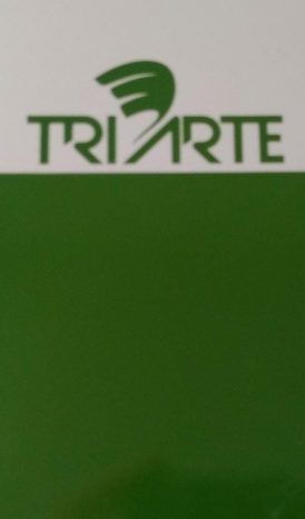 TRPO 16025-SOBRE ESMALTE P/PORCELANA VERDE CÁDMIO (Cd)