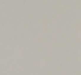 TRPO 5000-SOBRE ESMALTE P/PORCELANA BRANCO FOSCO