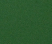 TRPO 5015-SOBRE ESMALTE P/PORCELANA VERDE BANDEIRA FOSCO