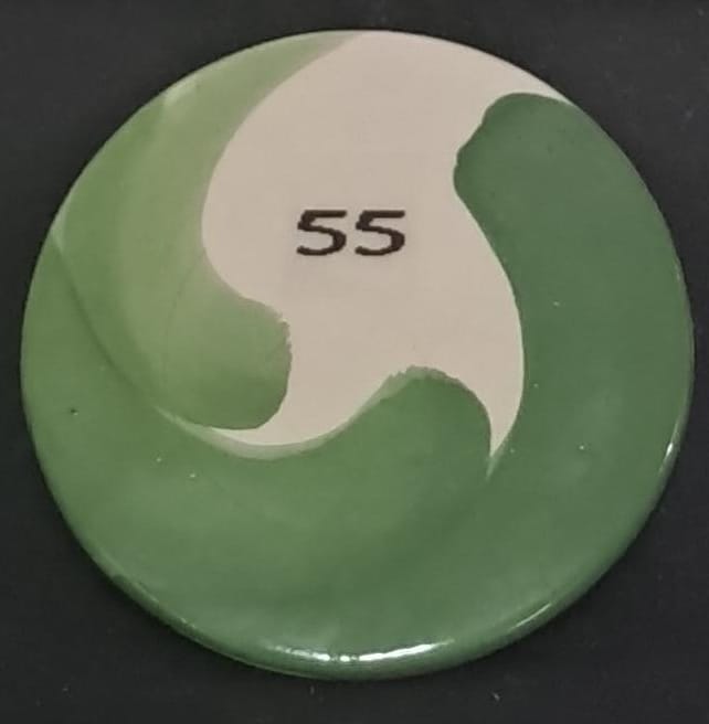 TBV 855 - Cor.Bx.Esm.Verde Seco